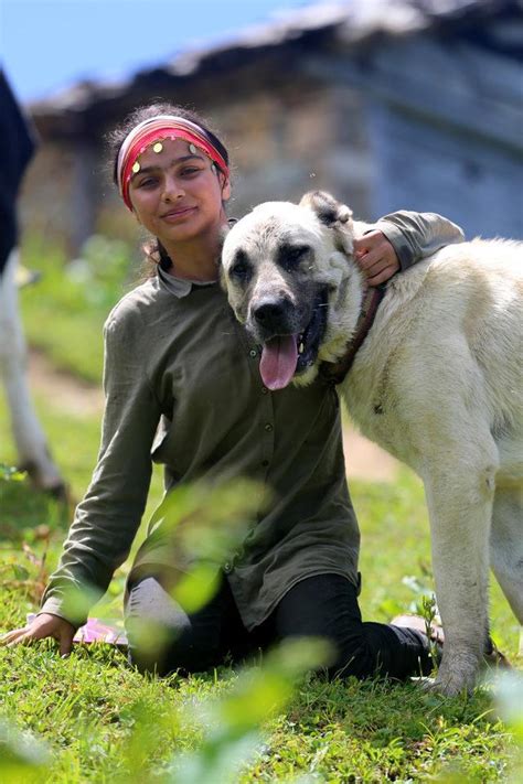 H­a­m­d­u­ ­S­e­n­a­­n­ı­n­ ­k­ö­p­e­ğ­i­ ­­K­a­r­a­b­a­ş­­ ­ö­l­d­ü­,­ ­4­ ­y­a­v­r­u­y­a­ ­o­ ­­a­n­n­e­­ ­o­l­d­u­ ­-­ ­S­o­n­ ­D­a­k­i­k­a­ ­H­a­b­e­r­l­e­r­